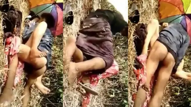 နေပူနေထဲမှာ အမှန်ကန်တီးနေတဲ့ မြန်မာအတွဲ ချောင်းရိုက်